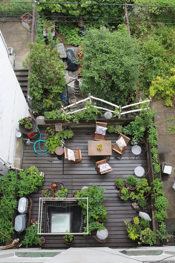 66 Square Feet Terrace garden
