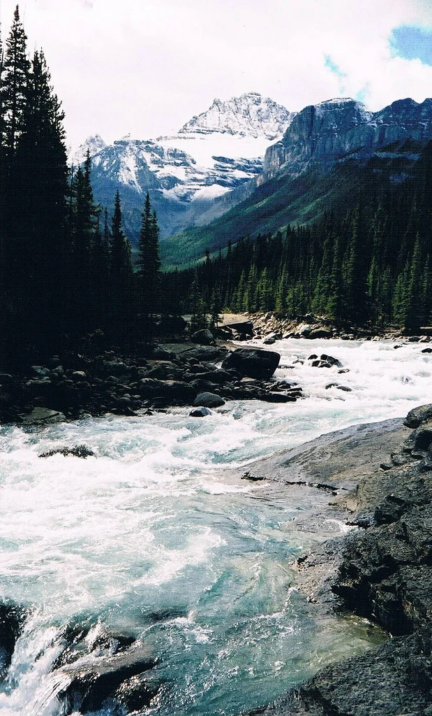 Above Mistaya Canyon, Banff National Park