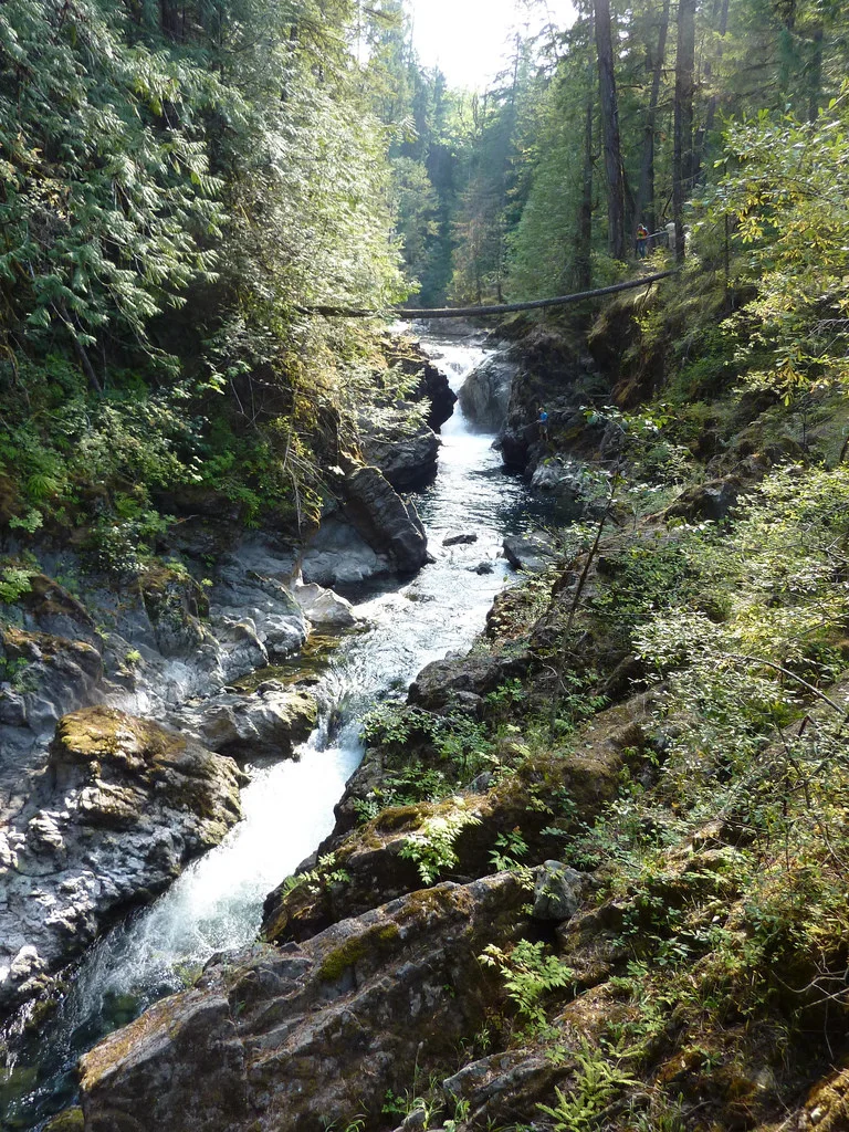 Vancouver Island Nature