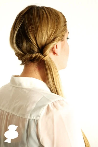 Double twisted Ponytail Tutorial