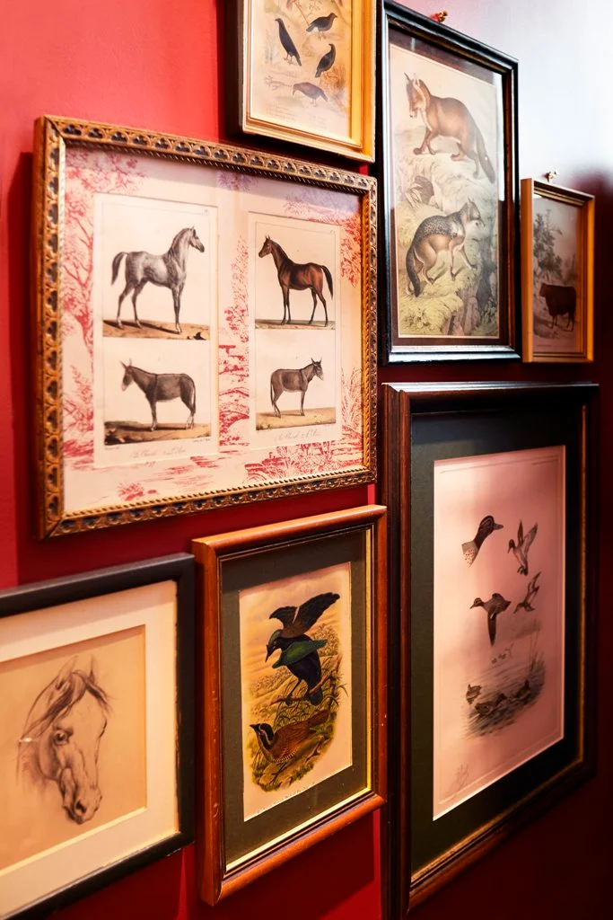 Wall Gallery Frame Ideas