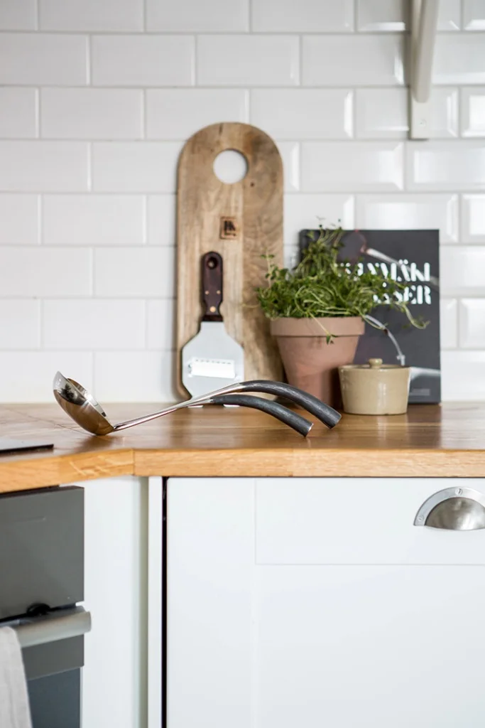 little plant on the pot in small space kitchen
