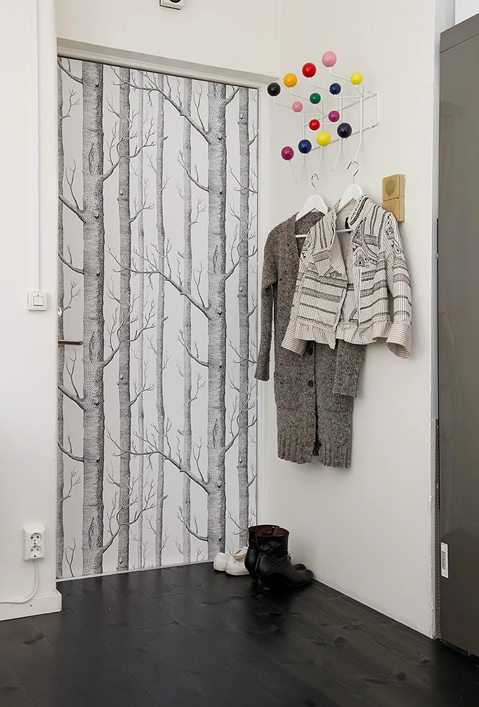 Wallpaper Door