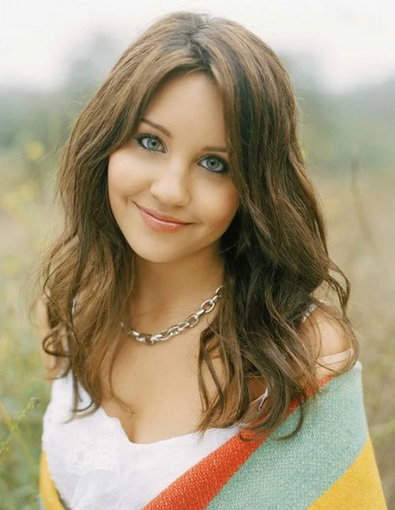 Layered Hairstyles With Caramel Highlights