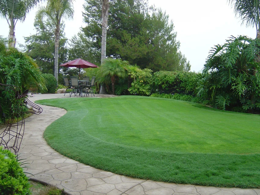 Curved Walkway Backyard Landscaping