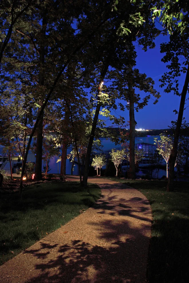 Decorate Outdoor Trees with Lights