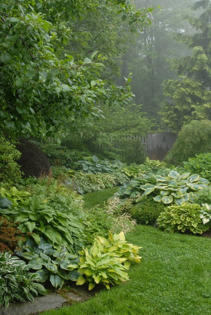 Natural and Green Landscape Design Idea