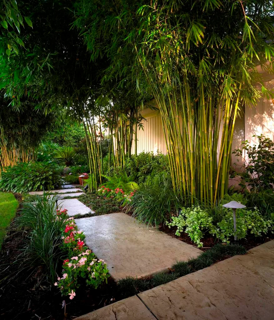 Pathway Ideas for Backyard