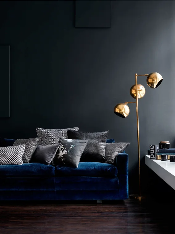 Velvet Sofa With Velvet Pillows
