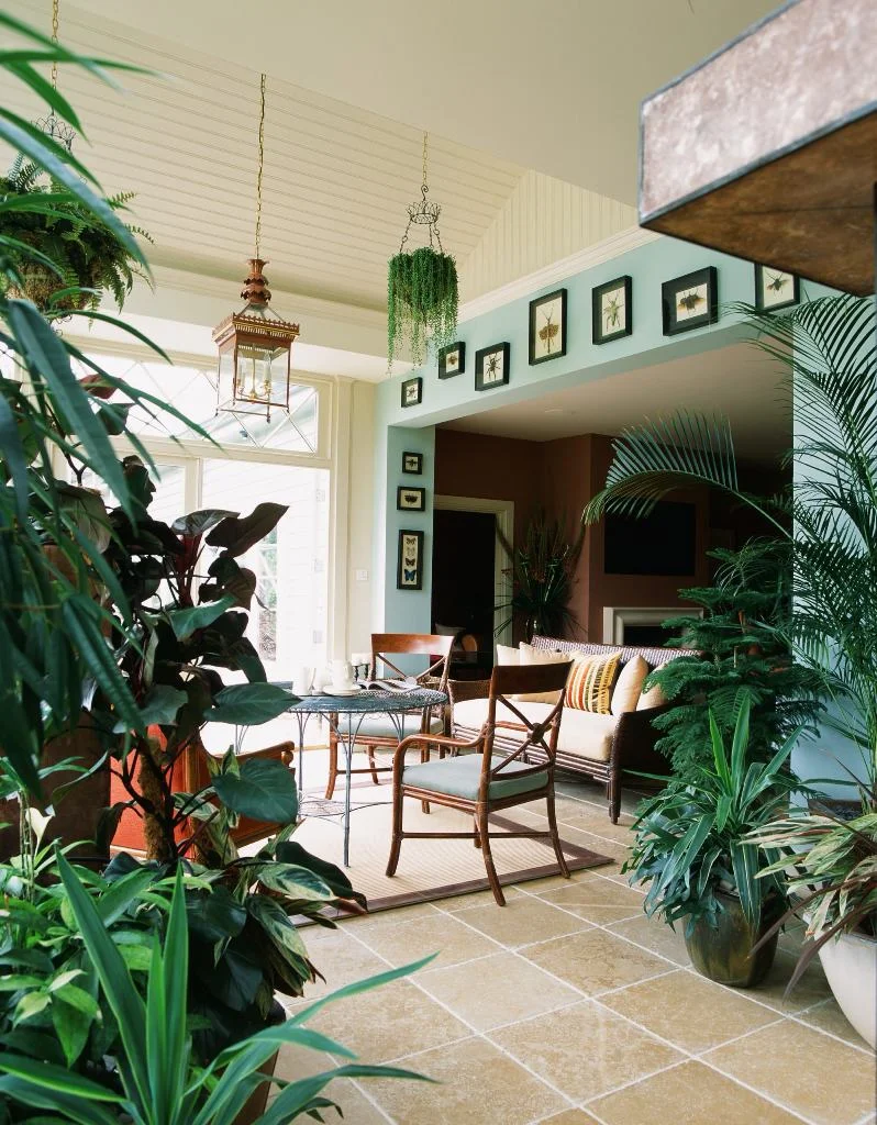 Dark-Green Wooden Furniture Sunroom