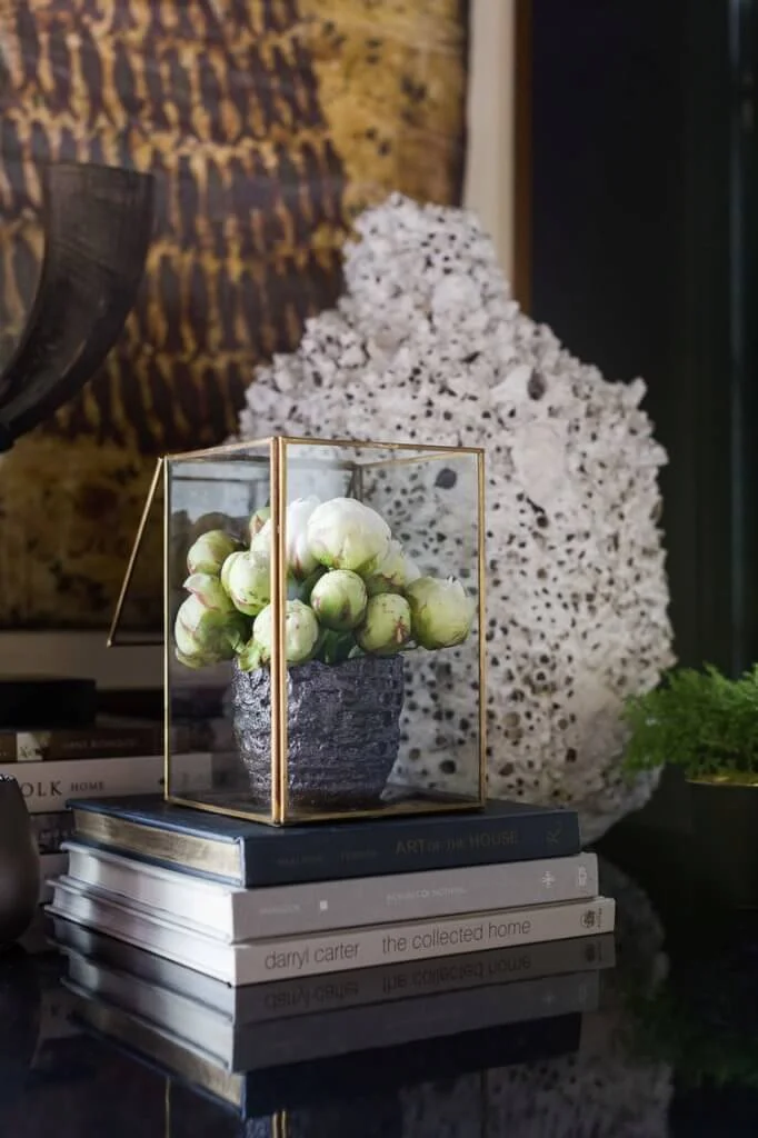 Plants for Office Decoration