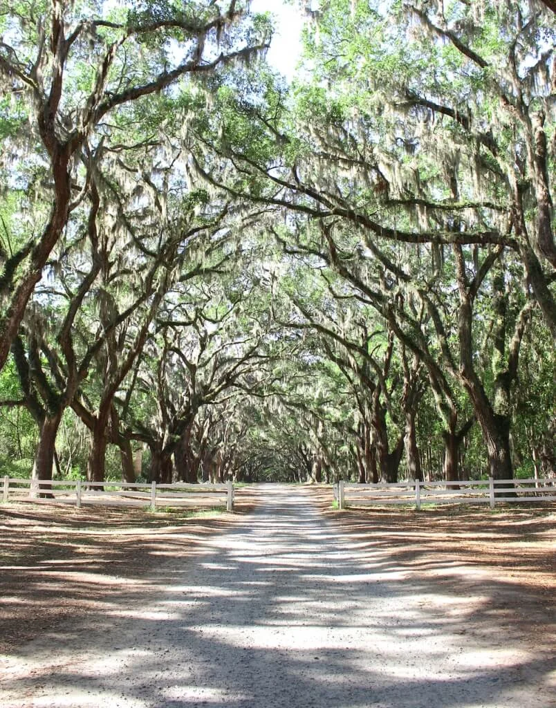 Savannah, Georgia