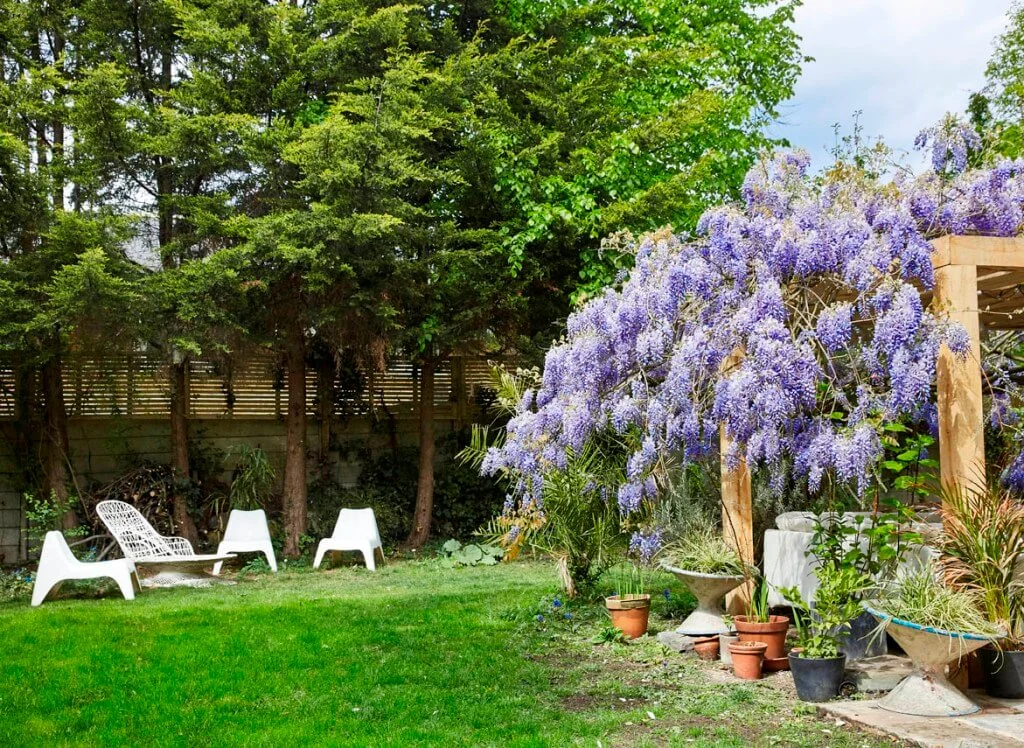 garden lounge natural