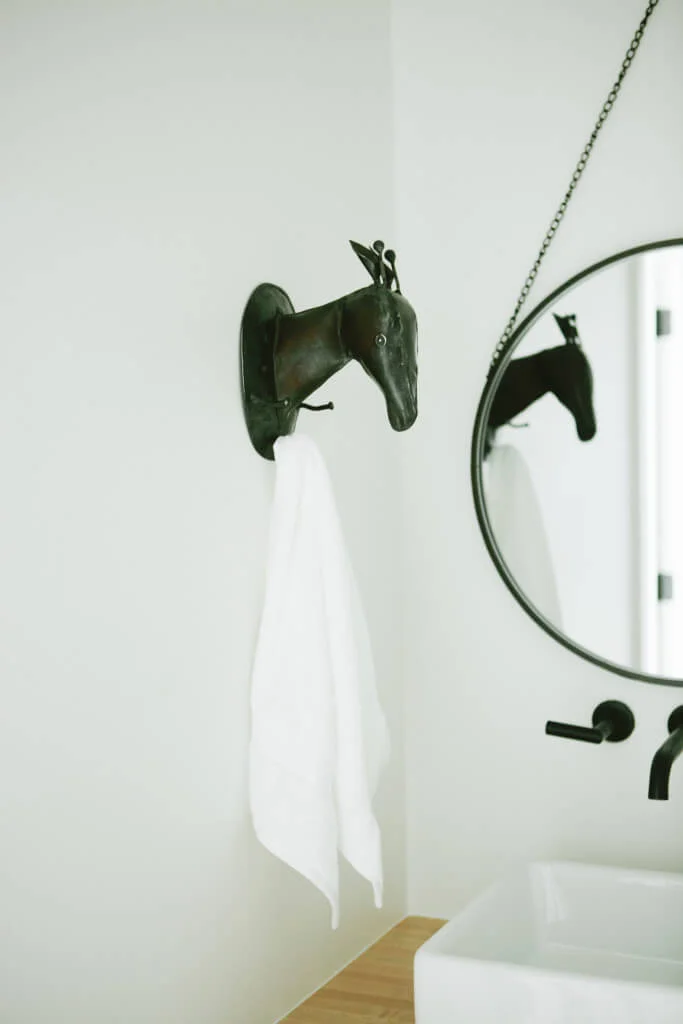 iron animal hooks