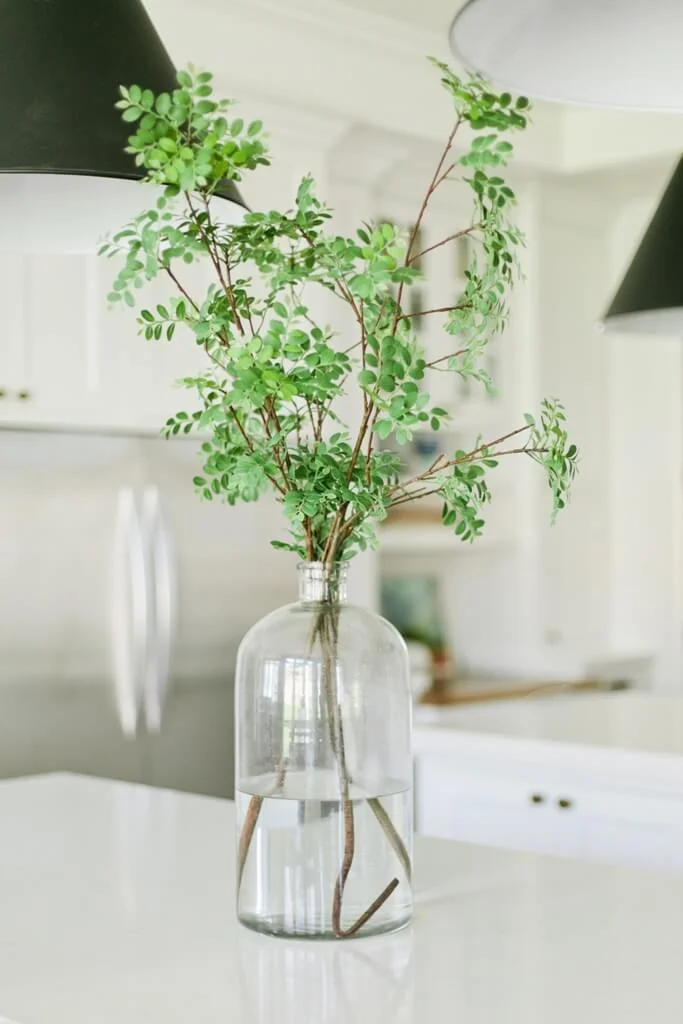 kitchen glass plan