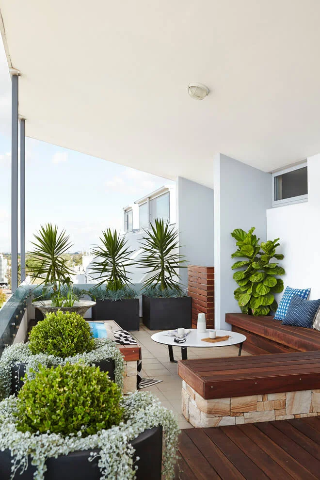 creative balcony plants arrangement