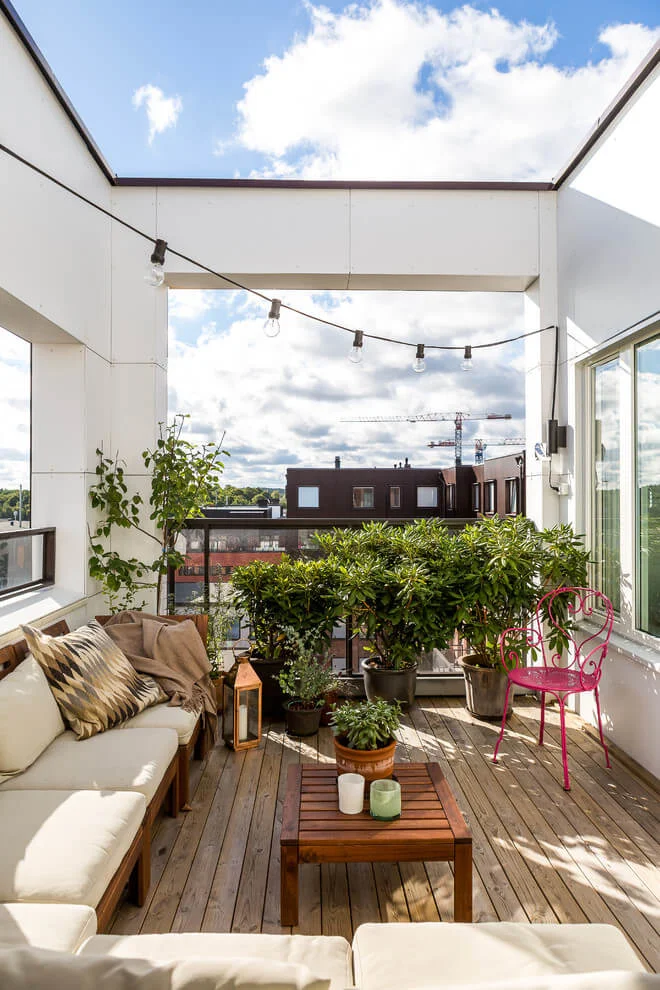minimal balcony plants decoration