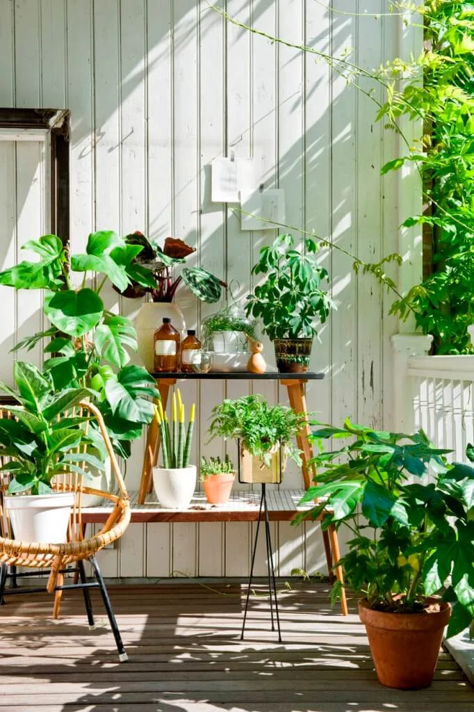 table shelf for balcony garden