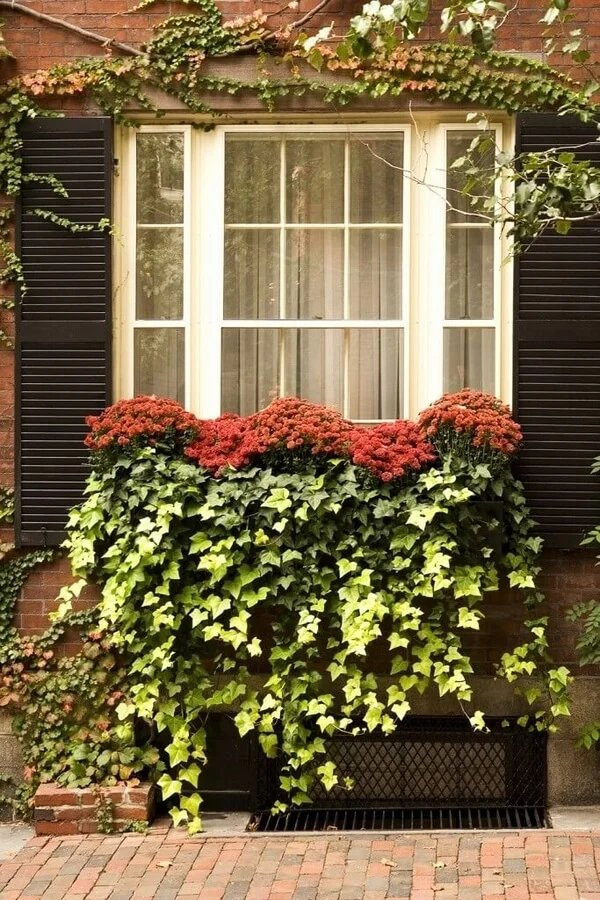 window flower box decoration