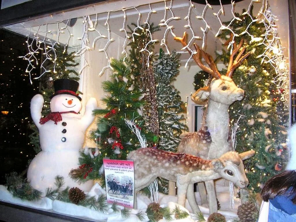 Small Front Yard Christmas Decorations