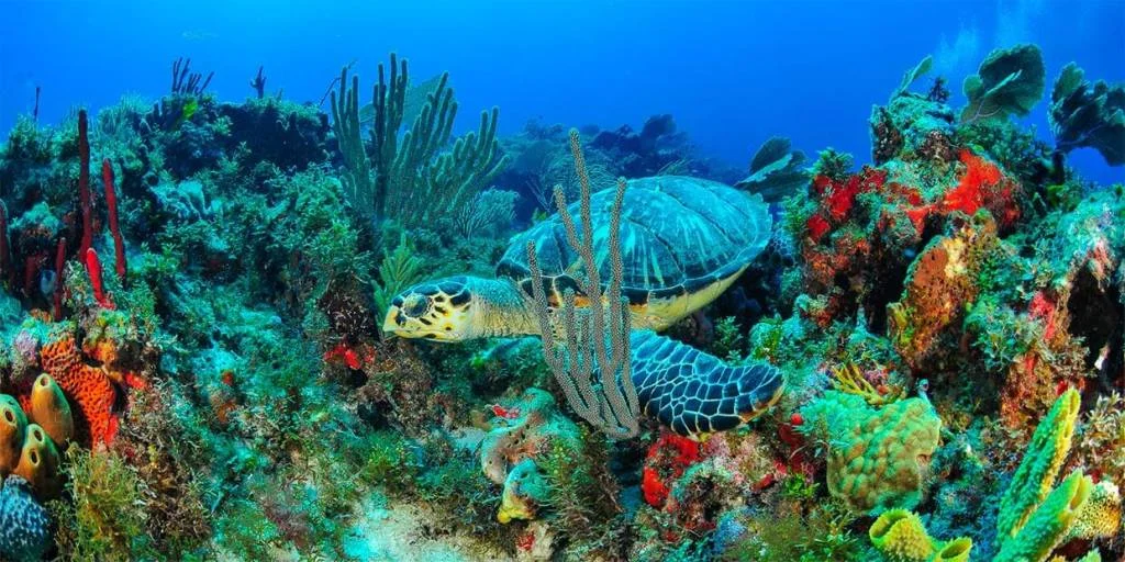 Isla Mujeres