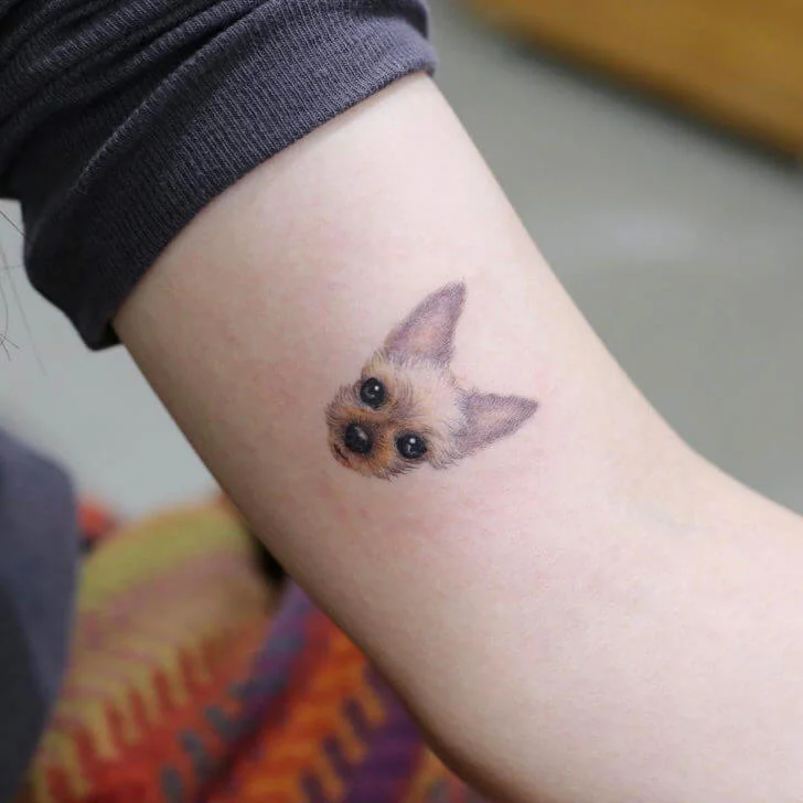 Small Dog Tattoos