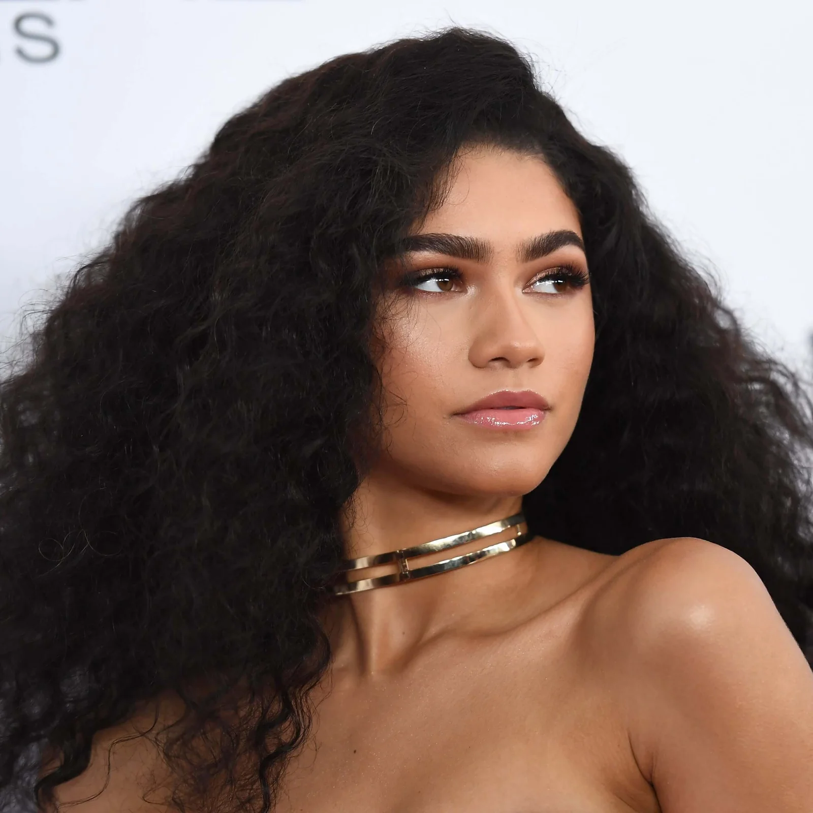 African American Curly Hairstyles