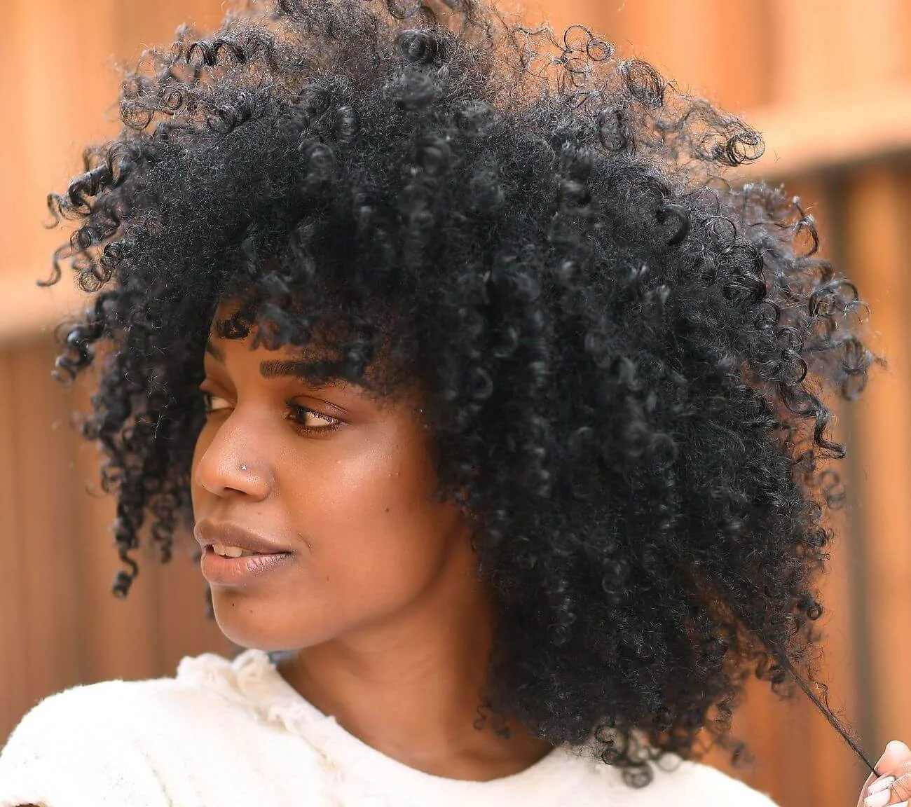 African American Curly Hairstyles