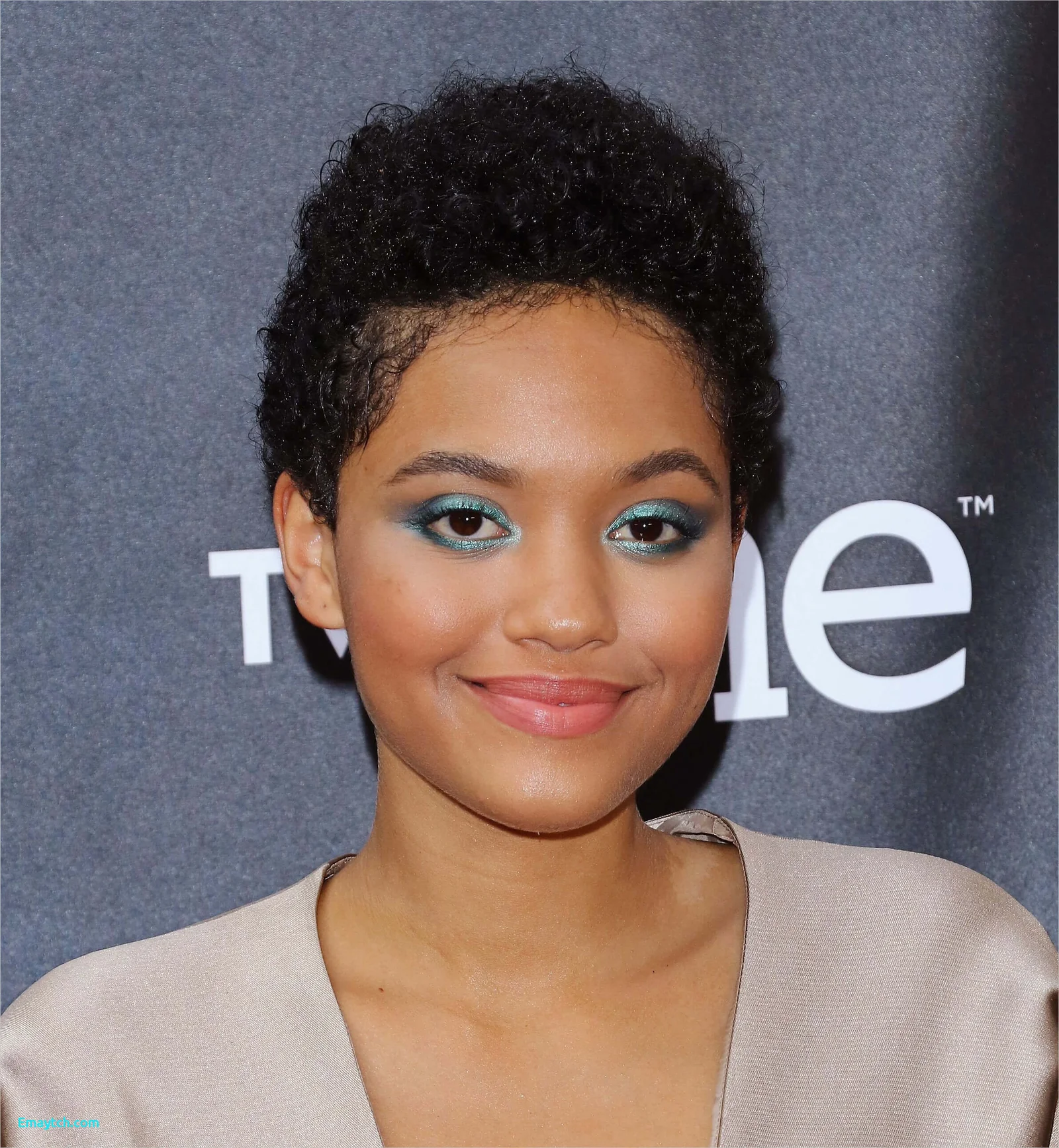 African American Curly Hairstyles