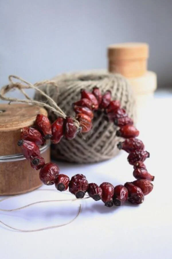 Dried Cranberry Christmas Tree Ornament