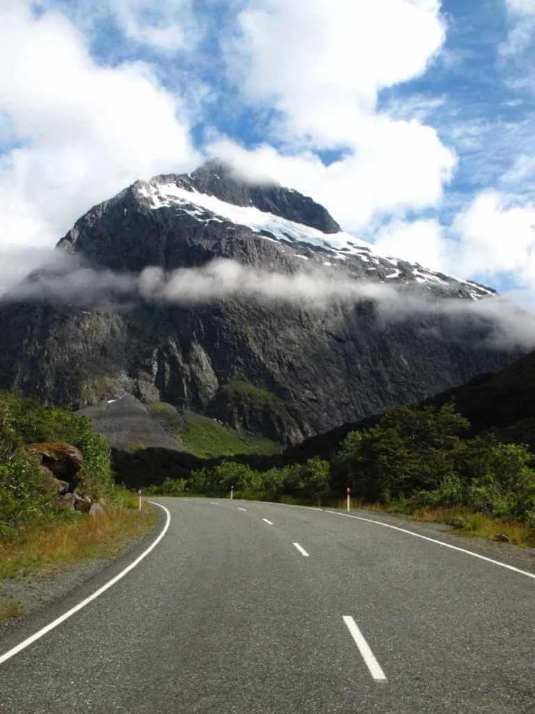Glaciers View Along The Milford Road