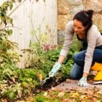Gardening Tips