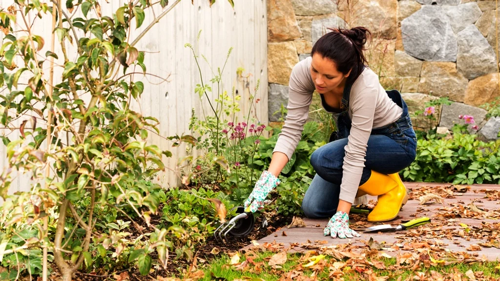 Gardening Tips