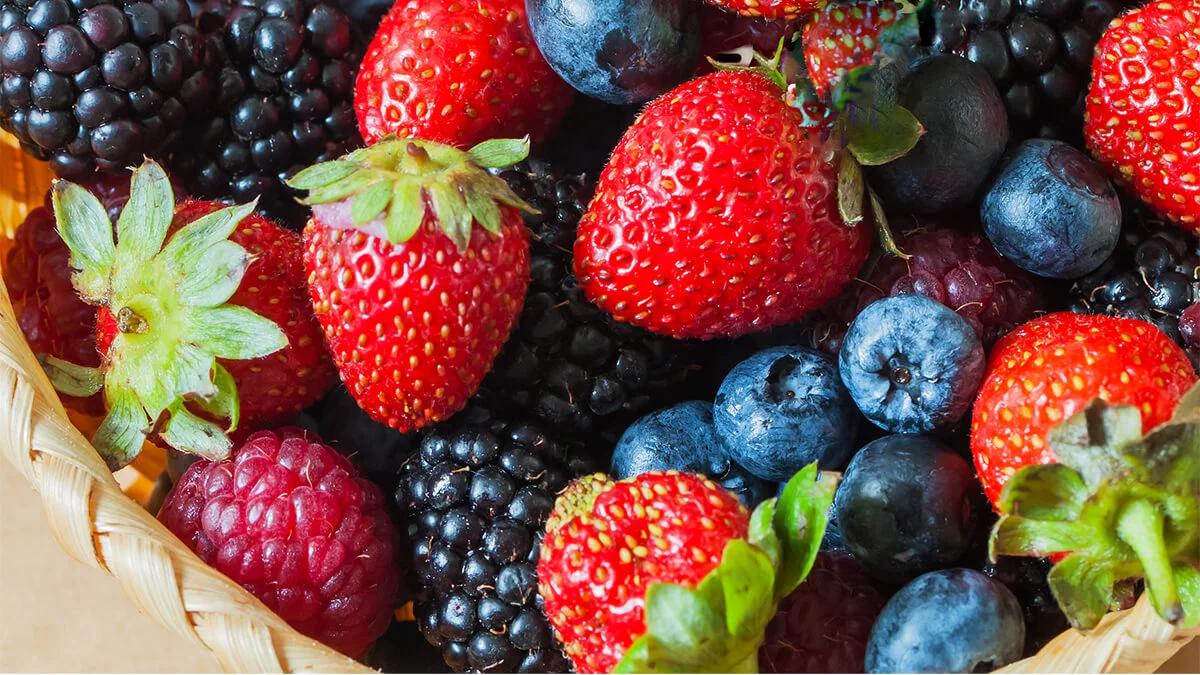Diet for Pregnant Women