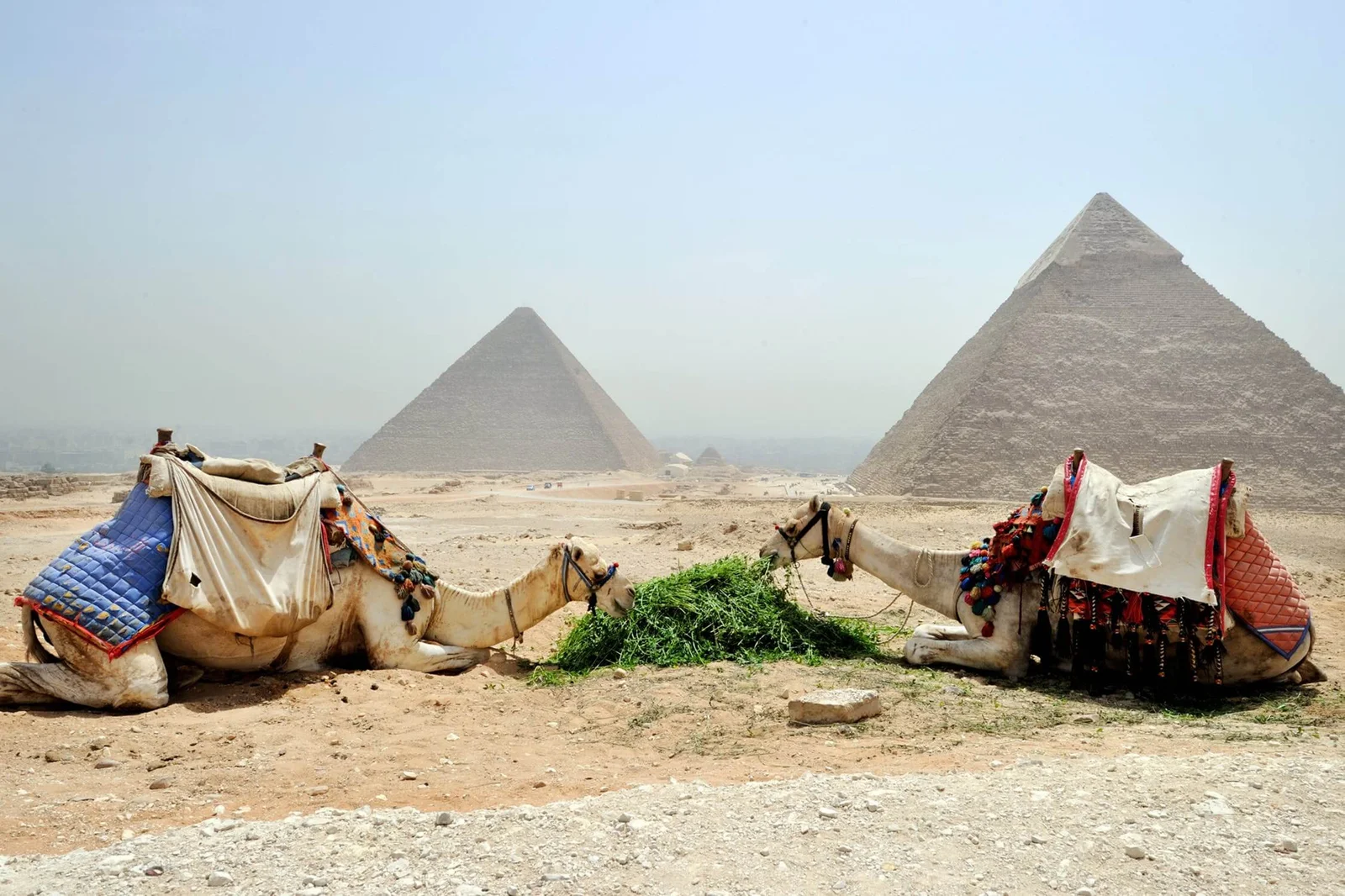 Best Destinations to Visit in Africa