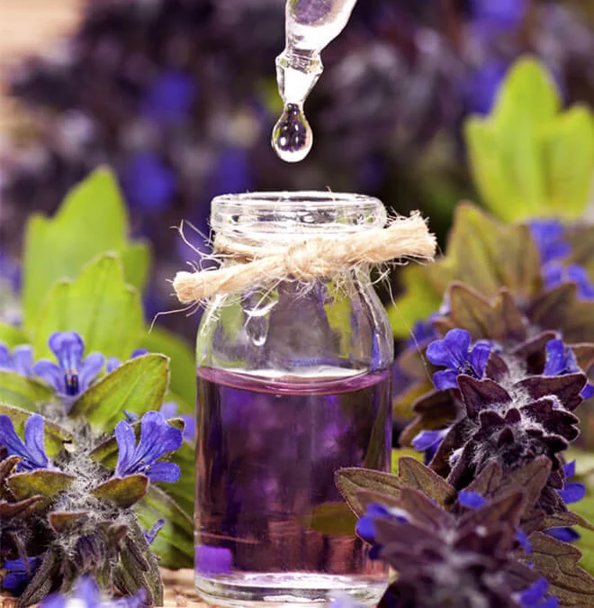 Lavender Oil Reduces Hair Loss