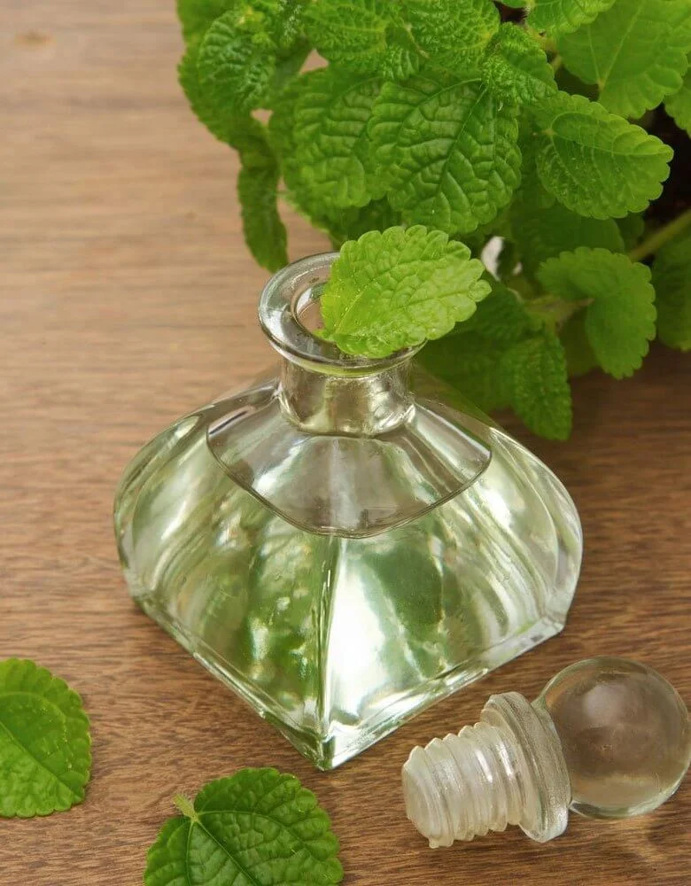 Peppermint Oil Increases Hair Growth