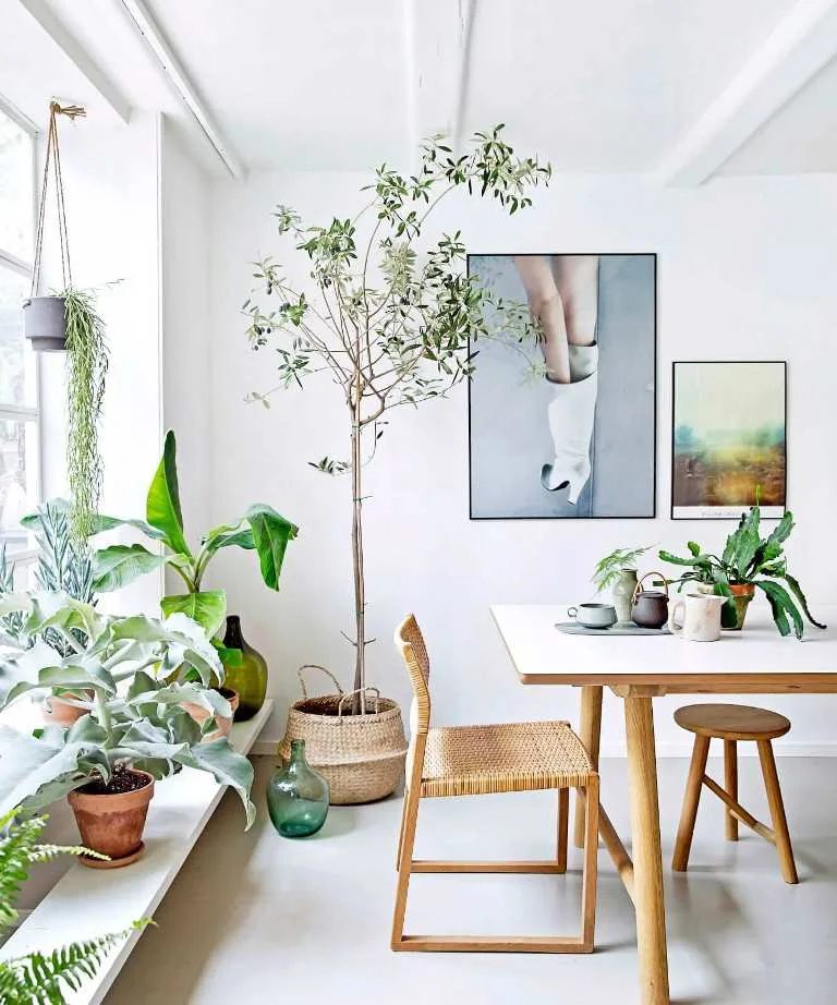 Bring in nature