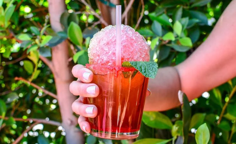 Yummy Summer Drinks