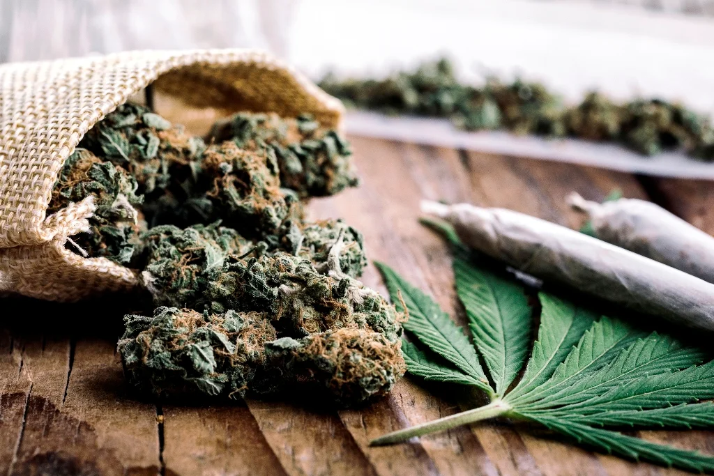 Sativa, Indica
