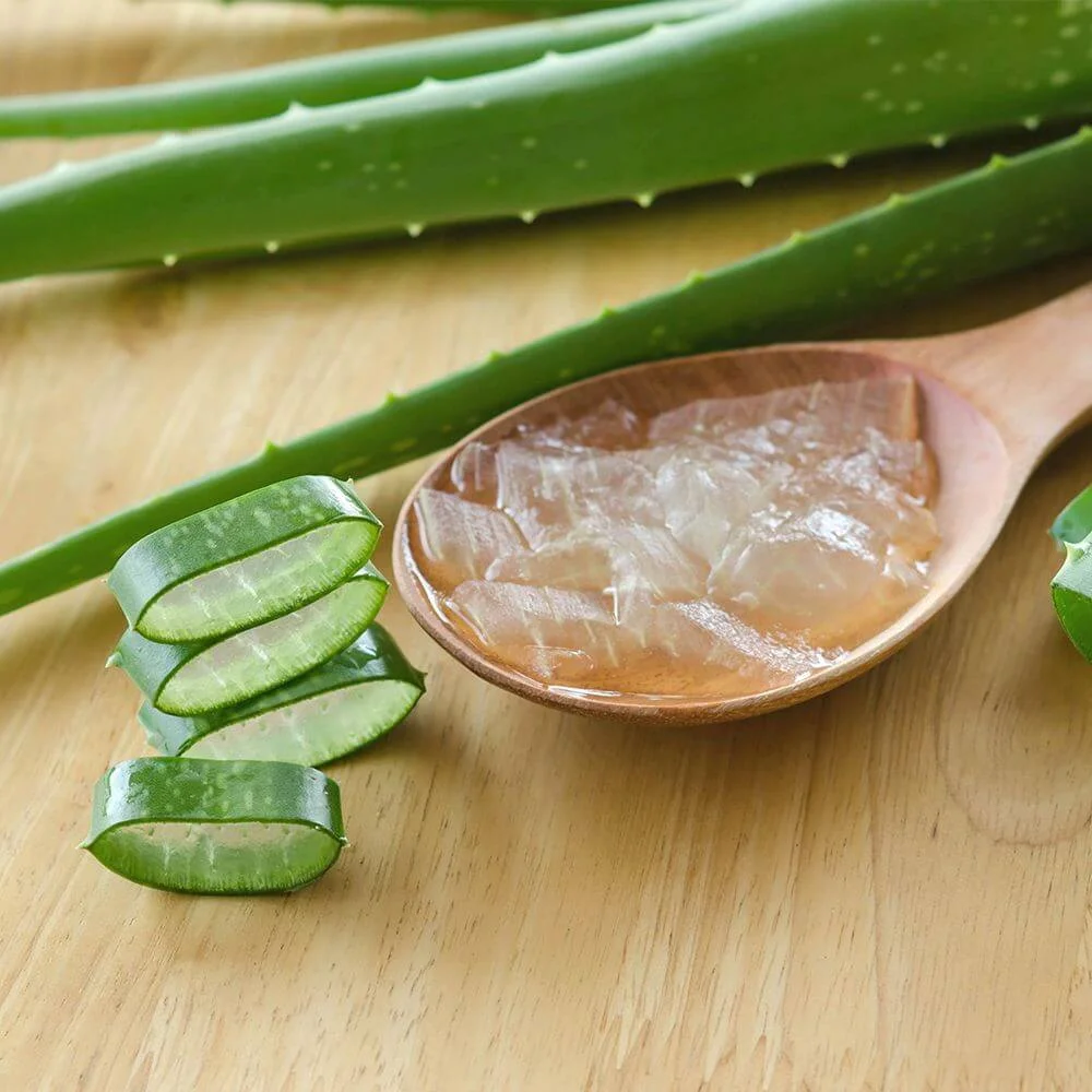Aloe Vera For Softer Hair