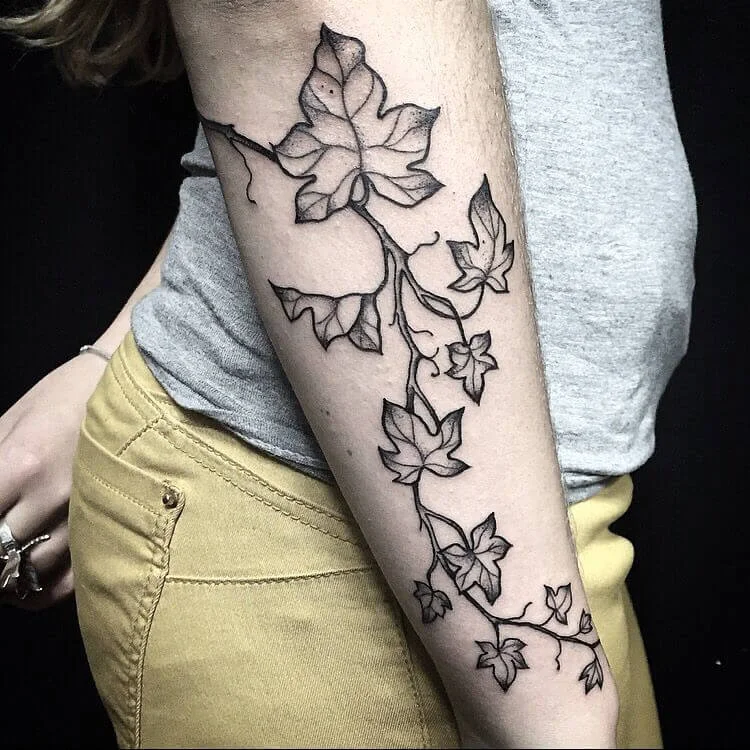 Black Ink Ivy Vine Tattoo