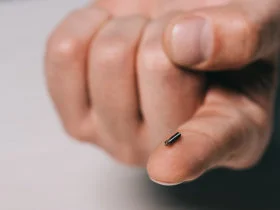 Microchipping1