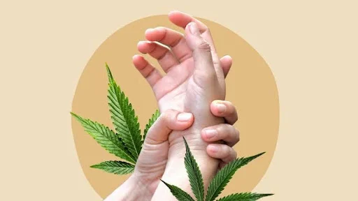 CBD Capsules2