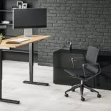 Standing Desk3