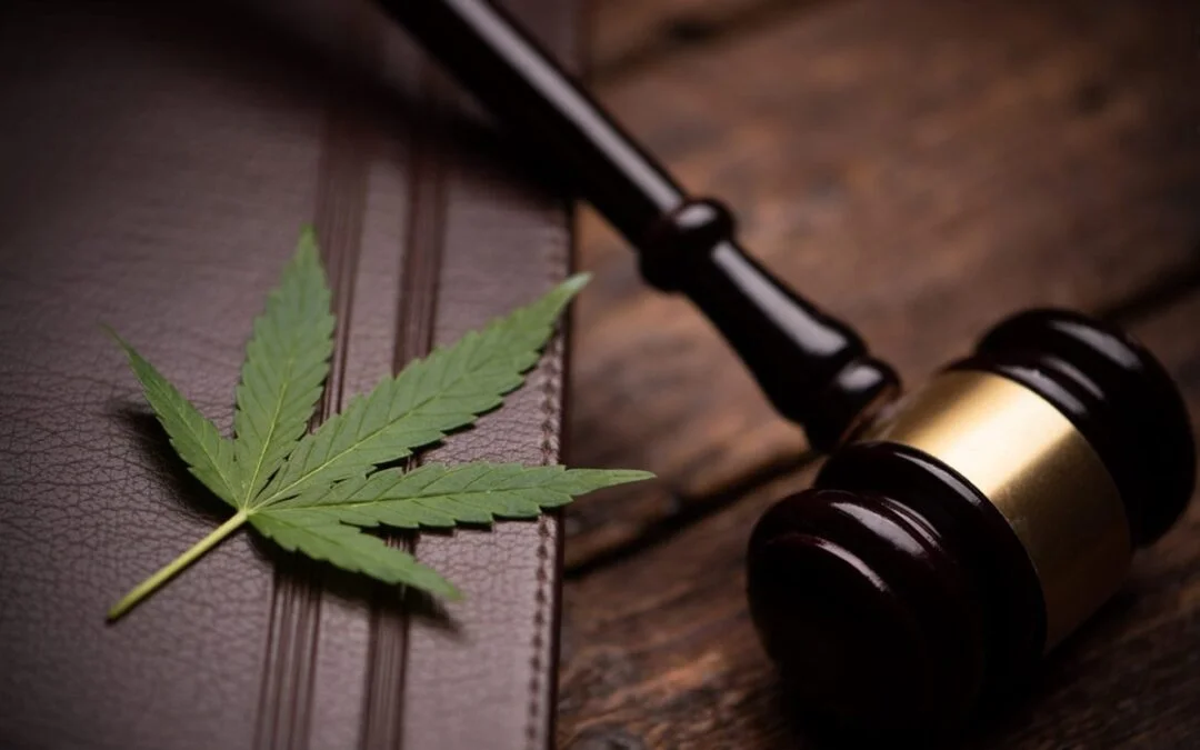 cannabis law 1