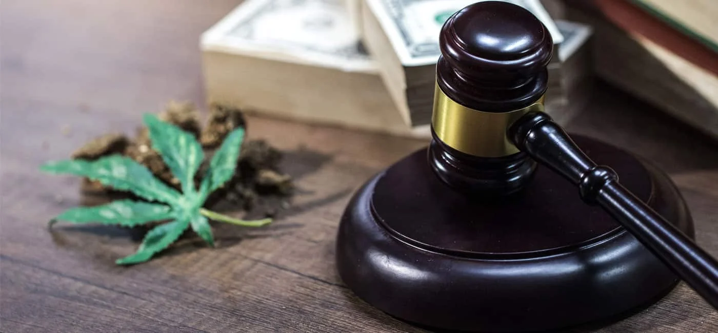 cannabis law 3