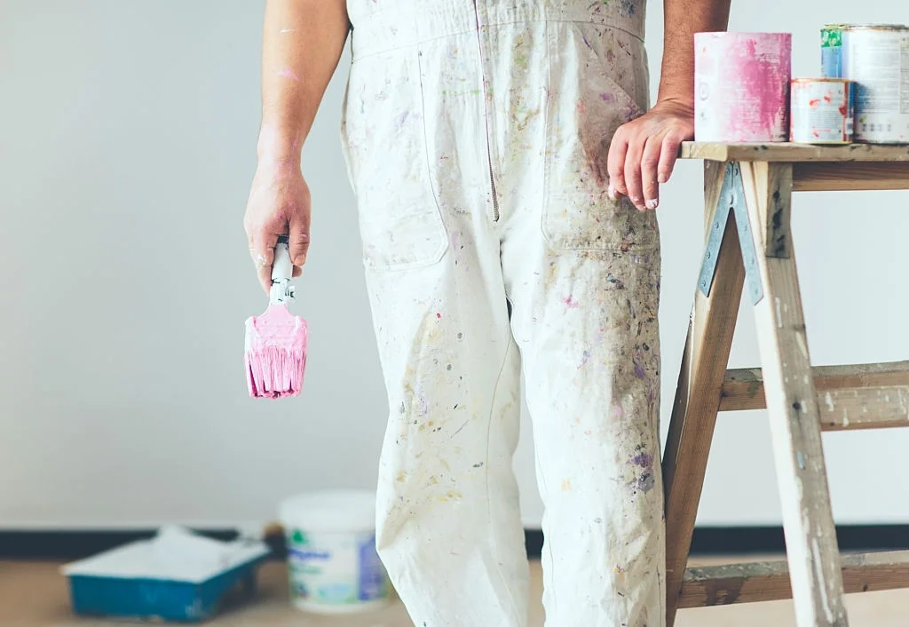 Professional Painter3
