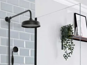 Long Shower Arm 2