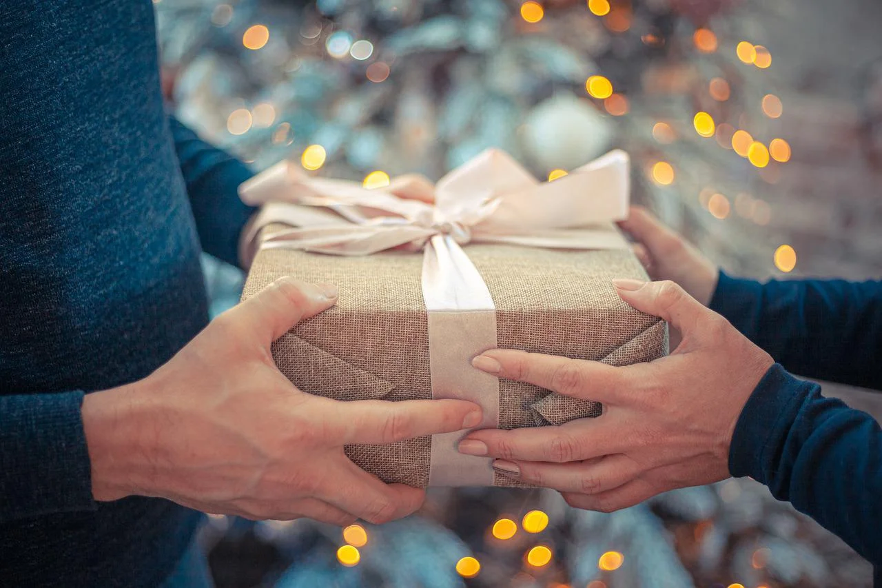 gift-g53cfdf293_1280